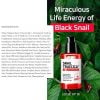 Some by mi Snail Truecica Miracle Repair Serum, 50ml