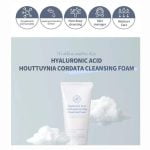 Esfolio Hyaluronic Acid Houttuynia Cordata Cleansing Foam, 100ml